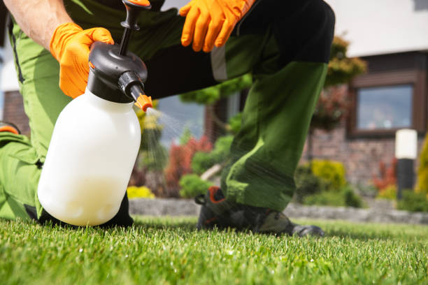 Best Flea Control Services  in Caney, KS