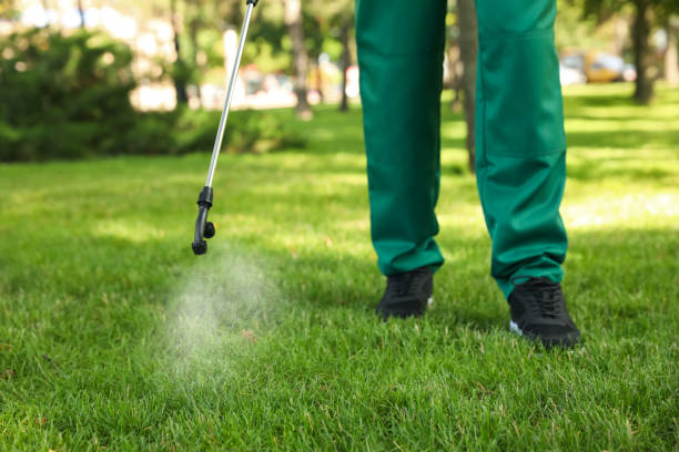 Best Exterminator Services  in Caney, KS