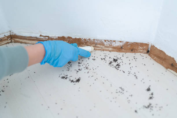 Best Pest Removal Services  in Caney, KS