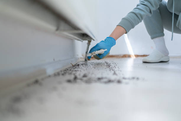 Best Emergency Pest Control  in Caney, KS